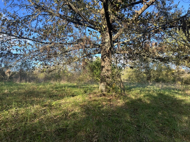 3588 Hartsville Pike, Castalian Springs, TN 37031