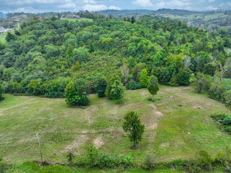 1384 Cliff Amos Rd, Spring Hill, TN 37174