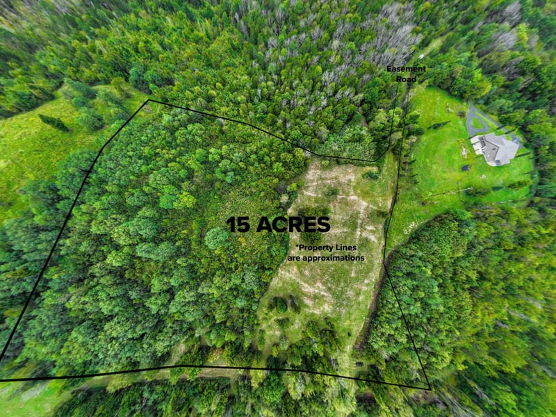 1384 Cliff Amos Rd, Spring Hill, TN 37174