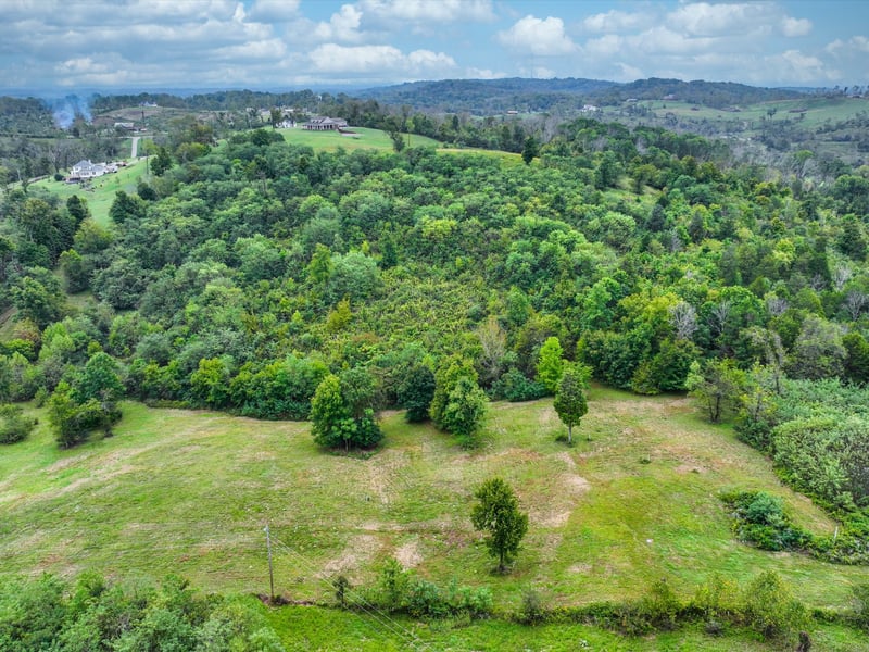 1384 Cliff Amos Rd, Spring Hill, TN 37174