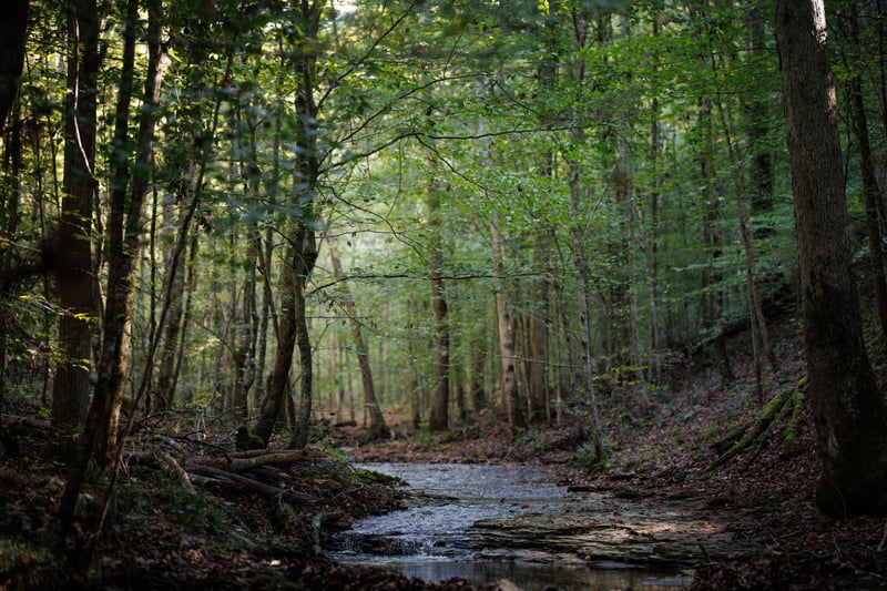 789 Frey St, Ashland City, TN 37015