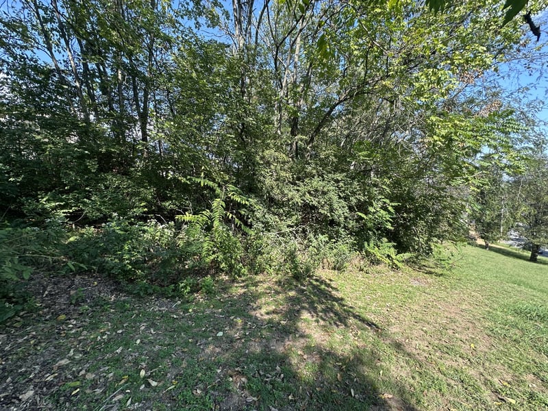 228 Walking Horse Hl, Nashville, TN 37211