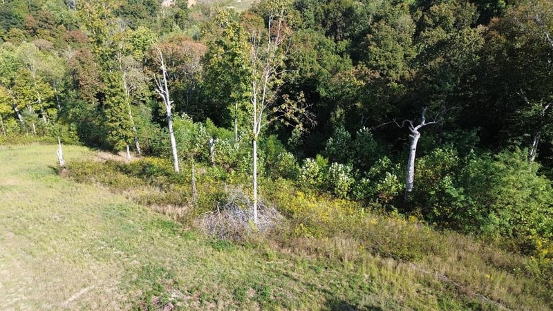 0 Hwy 25 , Cottontown, TN 37048