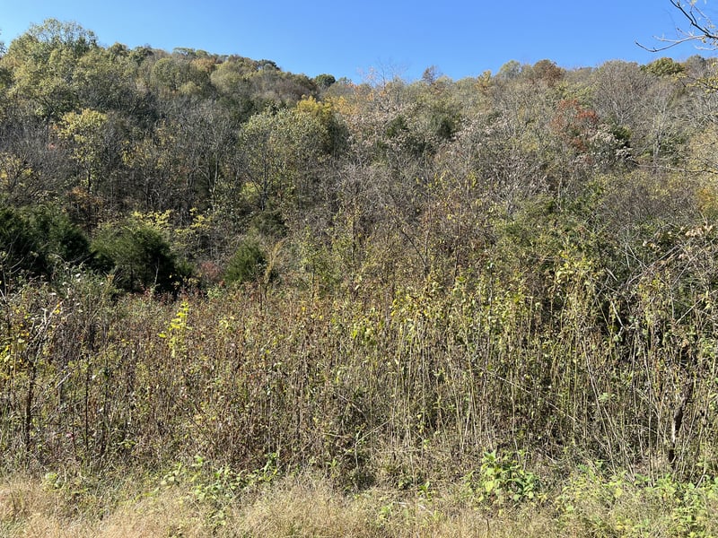 Reece Hollow Rd Lot 2 & 4, Carthage, TN 37030