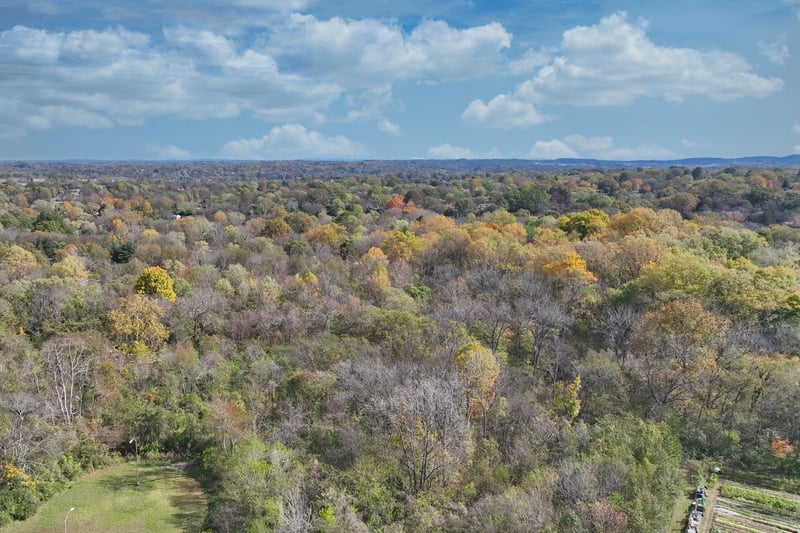 291 Haywood Ln, Nashville, TN 37211