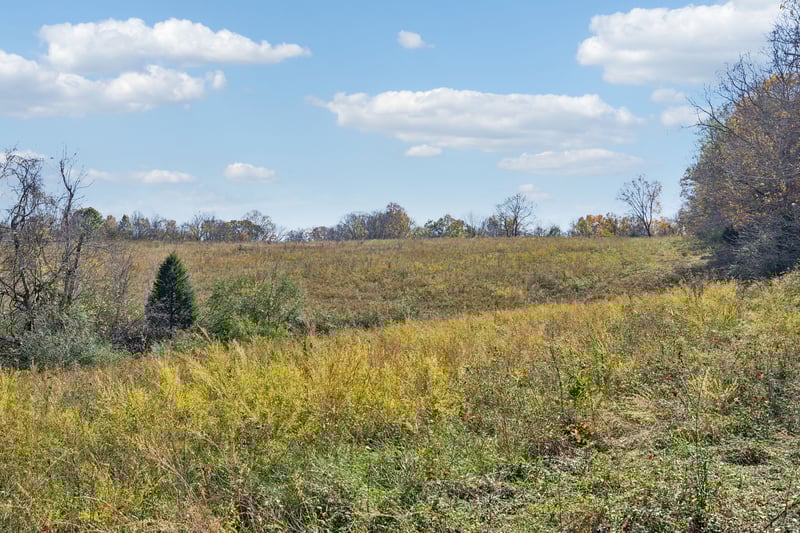 0 Akin Rg, Williamsport, TN 38487