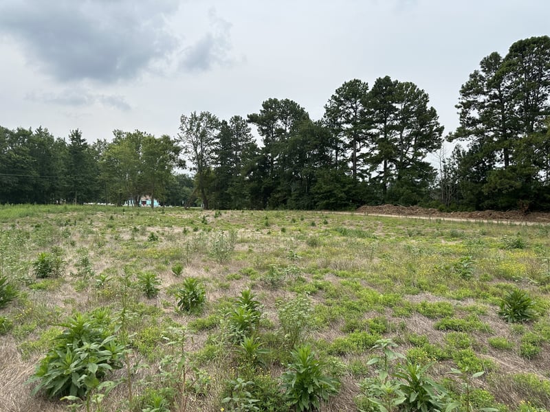 Clarksville Pike, Joelton, TN 37080