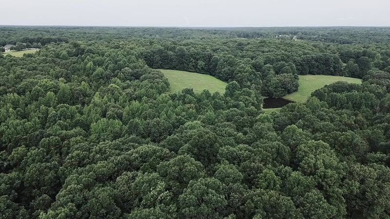 5128 Louise Rd, Cumberland Furnace, TN 37051