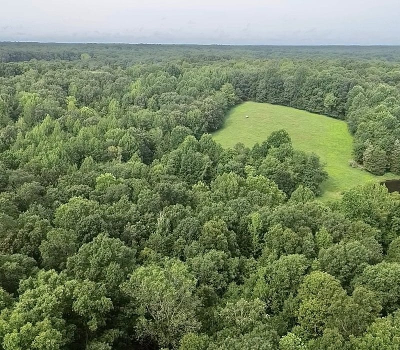 5128 Louise Rd, Cumberland Furnace, TN 37051