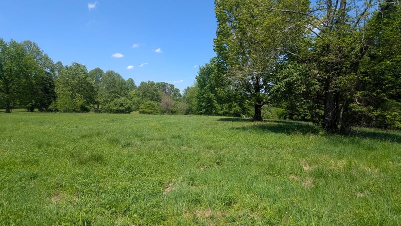 337 Old Dobbins Pike #3, Portland, TN 37148