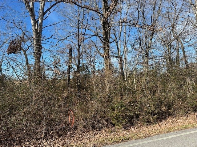 Green Chapel Rd, Franklin, TN 37064