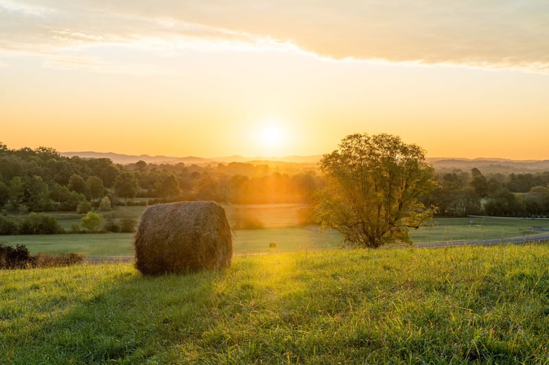 2017 Vista Creek Ln, Franklin, TN 37064