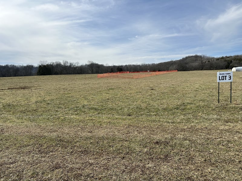 3 Booker Ridge Rd, Mount Pleasant, TN 38474