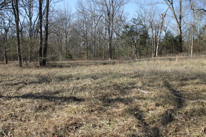 1060 Harsh Ln, Castalian Springs, TN 37031