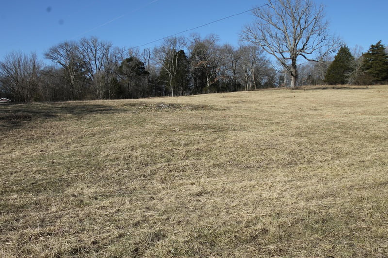 1060 Harsh Ln, Castalian Springs, TN 37031