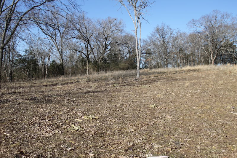 1060 Harsh Ln, Castalian Springs, TN 37031