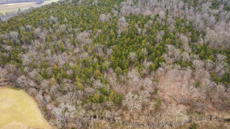 0 Lancaster Hw, Hickman, TN 38567