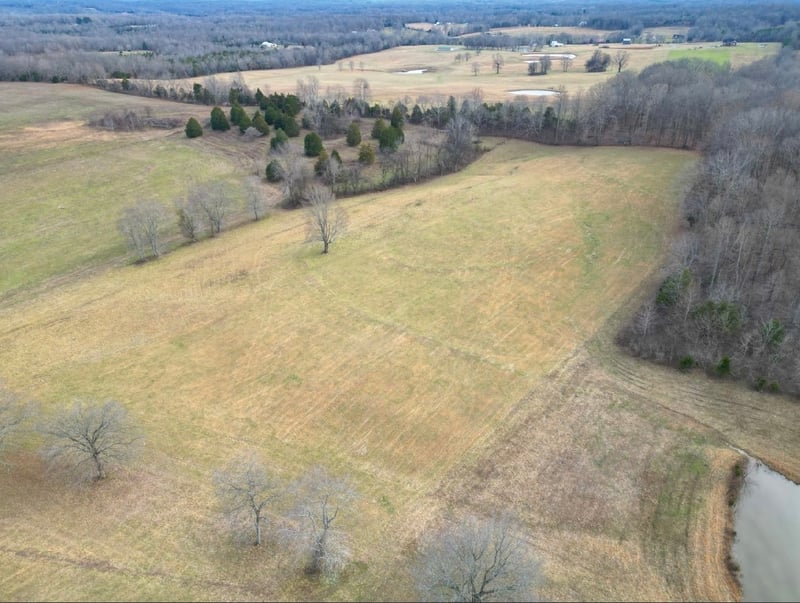 1038 Maple Valley Rd, Cumberland Furnace, TN 37051