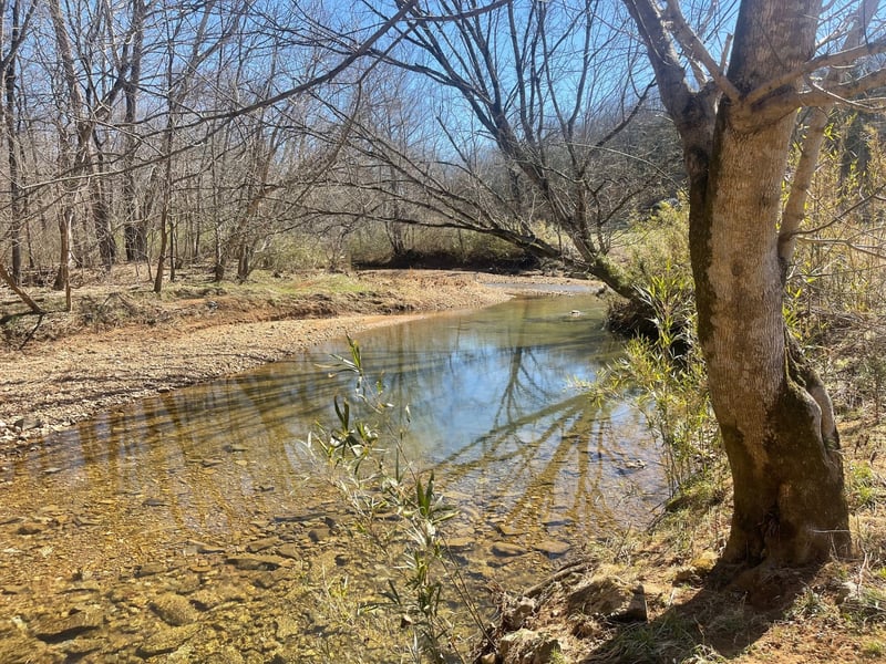 1 Old Clarksville Pike, Chapmansboro, TN 37035