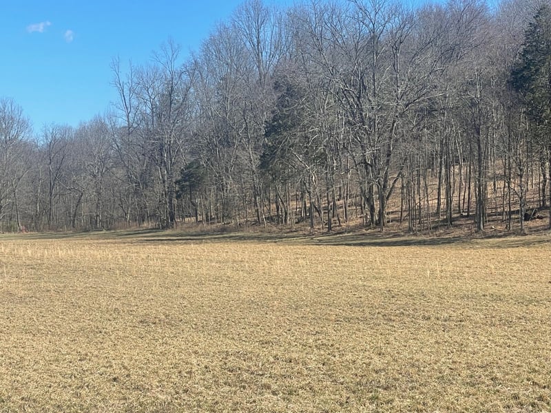 1 Old Clarksville Pike, Chapmansboro, TN 37035