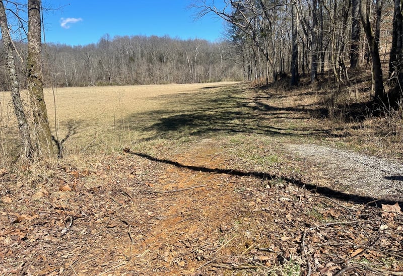 1 Old Clarksville Pike, Chapmansboro, TN 37035