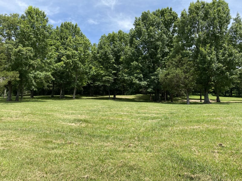 9554L Cloverrcroft Rd, Franklin, TN 37067