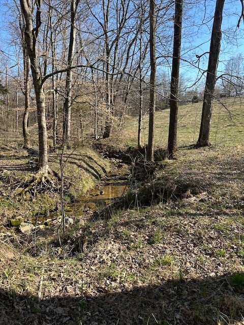 0 Freeman Loop, Cumberland Furnace, TN 37051