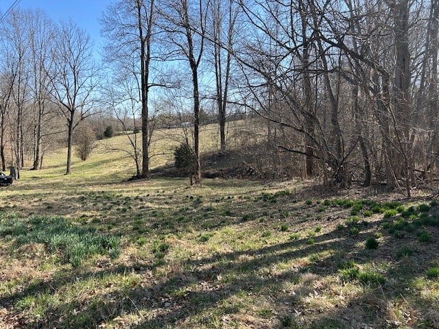 0 Freeman Loop, Cumberland Furnace, TN 37051