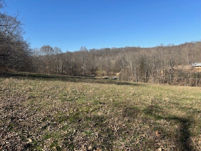 0 Freeman Loop, Cumberland Furnace, TN 37051