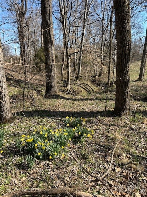 0 Freeman Loop, Cumberland Furnace, TN 37051