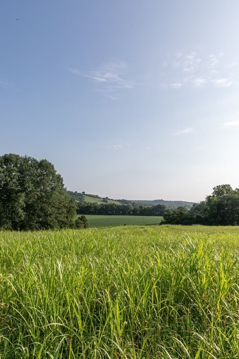 2470 Santa Fe Pike, Columbia, TN 38401