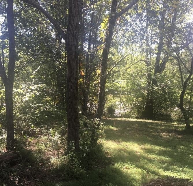 5904 Davis Hollow Rd, Franklin, TN 37064