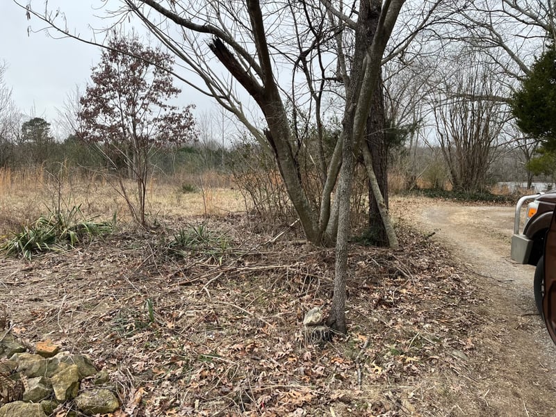 5904 Davis Hollow Rd, Franklin, TN 37064