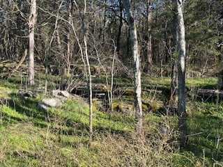 14907 Cainsville Rd, Lebanon, TN 37090