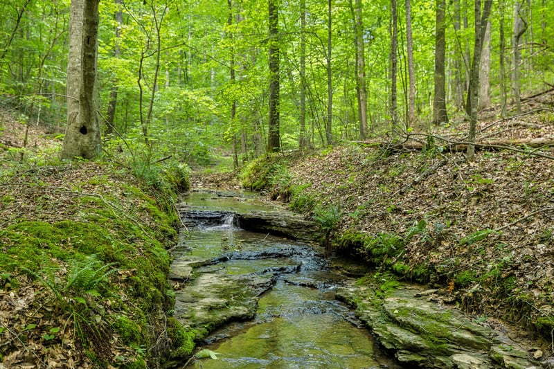 1 Crocker Springs Rd, Goodlettsville, TN 37072