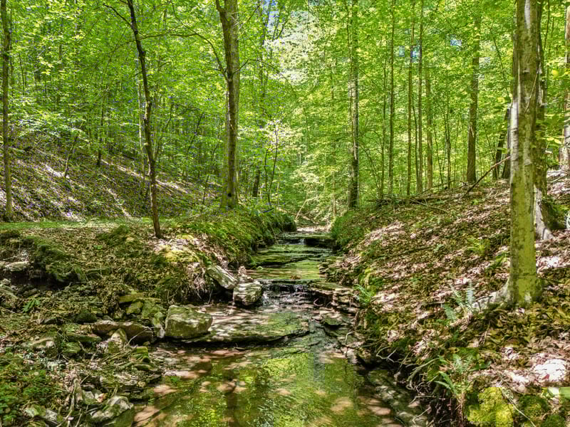 1 Crocker Springs Rd, Goodlettsville, TN 37072