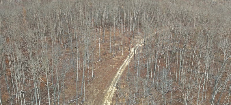 1L Oak Ridge Rd, Vanleer, TN 37181