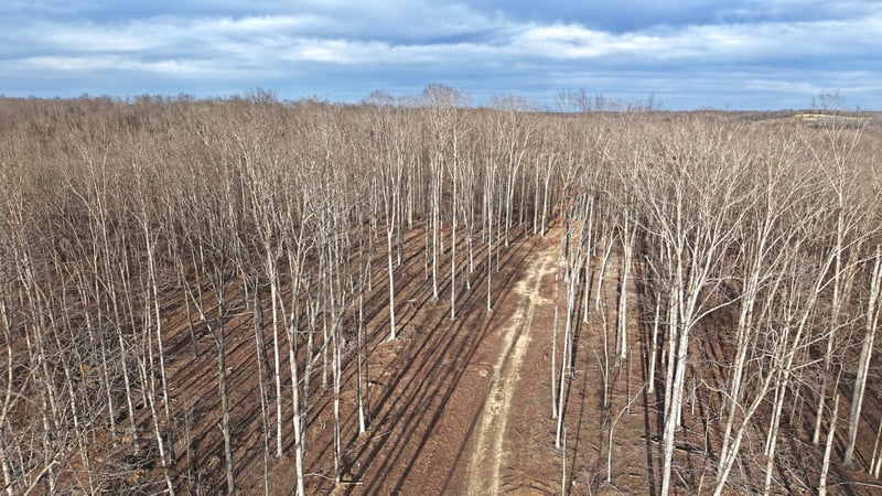 1L Oak Ridge Rd, Vanleer, TN 37181