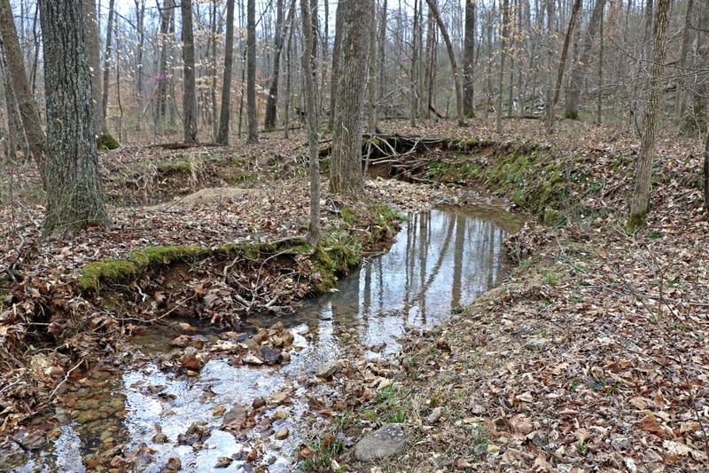 1L Oak Ridge Rd, Vanleer, TN 37181