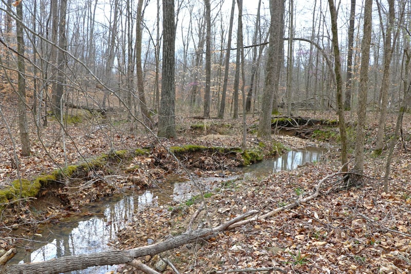 1L Oak Ridge Rd, Vanleer, TN 37181