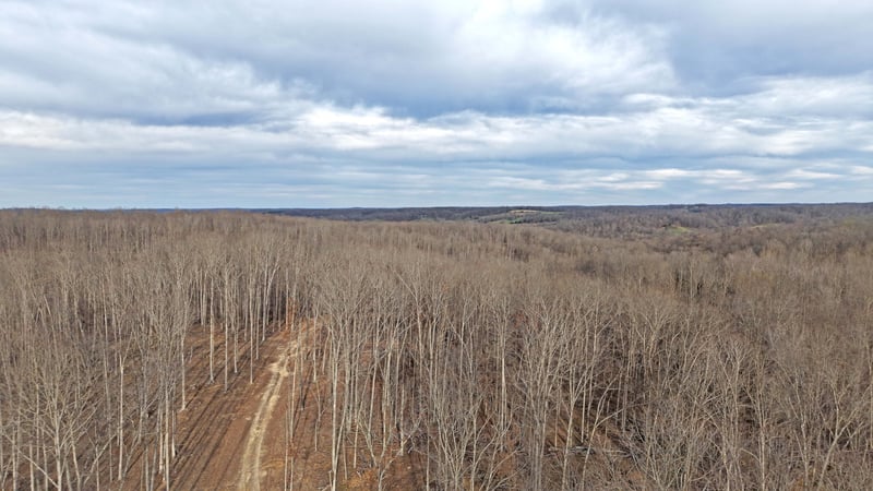 1L Oak Ridge Rd, Vanleer, TN 37181