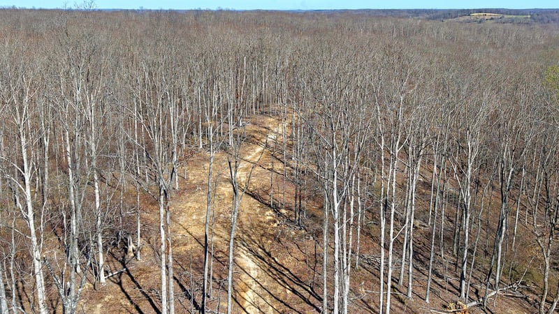 2L Oak Ridge Rd, Vanleer, TN 37181