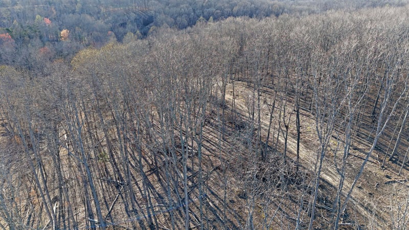 2L Oak Ridge Rd, Vanleer, TN 37181