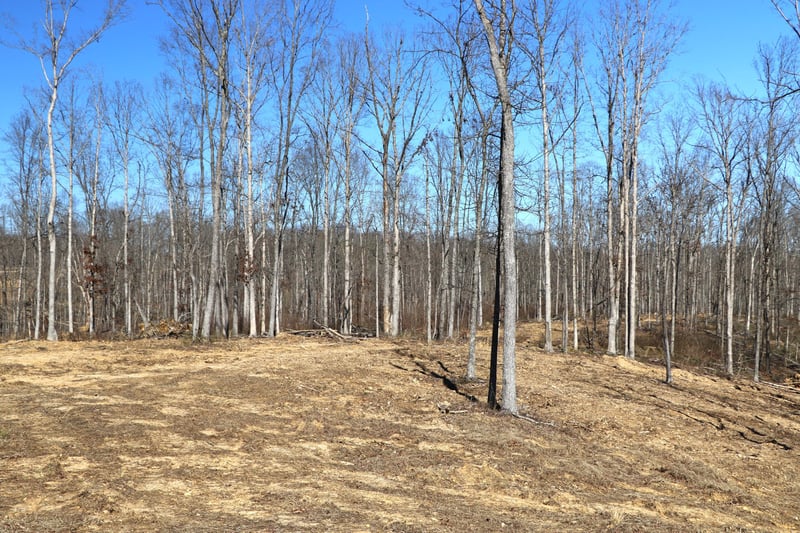 2L Oak Ridge Rd, Vanleer, TN 37181