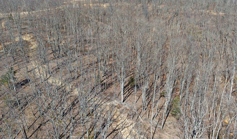 2L Oak Ridge Rd, Vanleer, TN 37181