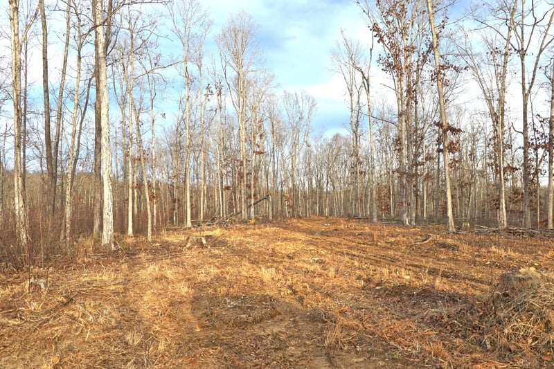 2L Oak Ridge Rd, Vanleer, TN 37181