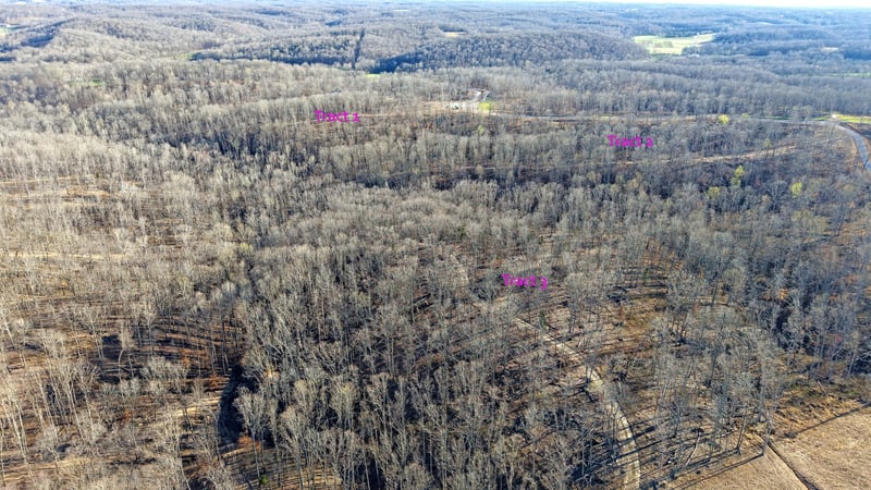 3L Oak Ridge Rd, Vanleer, TN 37181