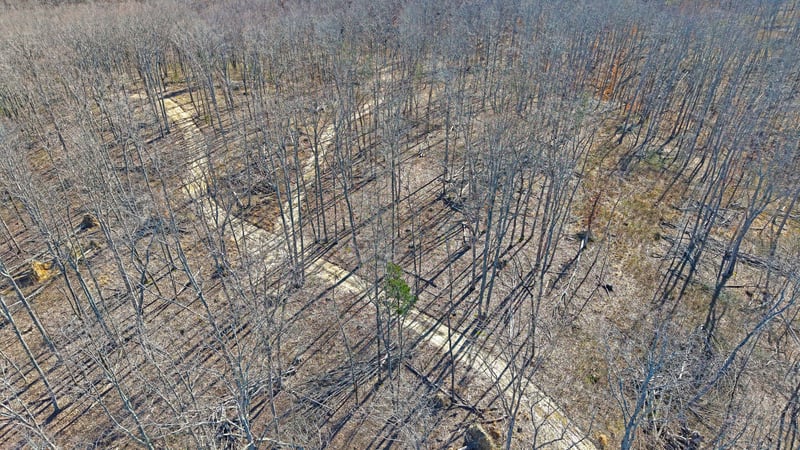 3L Oak Ridge Rd, Vanleer, TN 37181