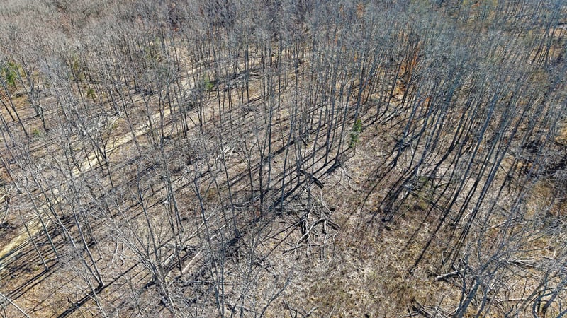 3L Oak Ridge Rd, Vanleer, TN 37181