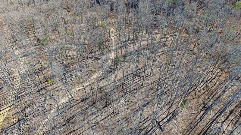 3L Oak Ridge Rd, Vanleer, TN 37181